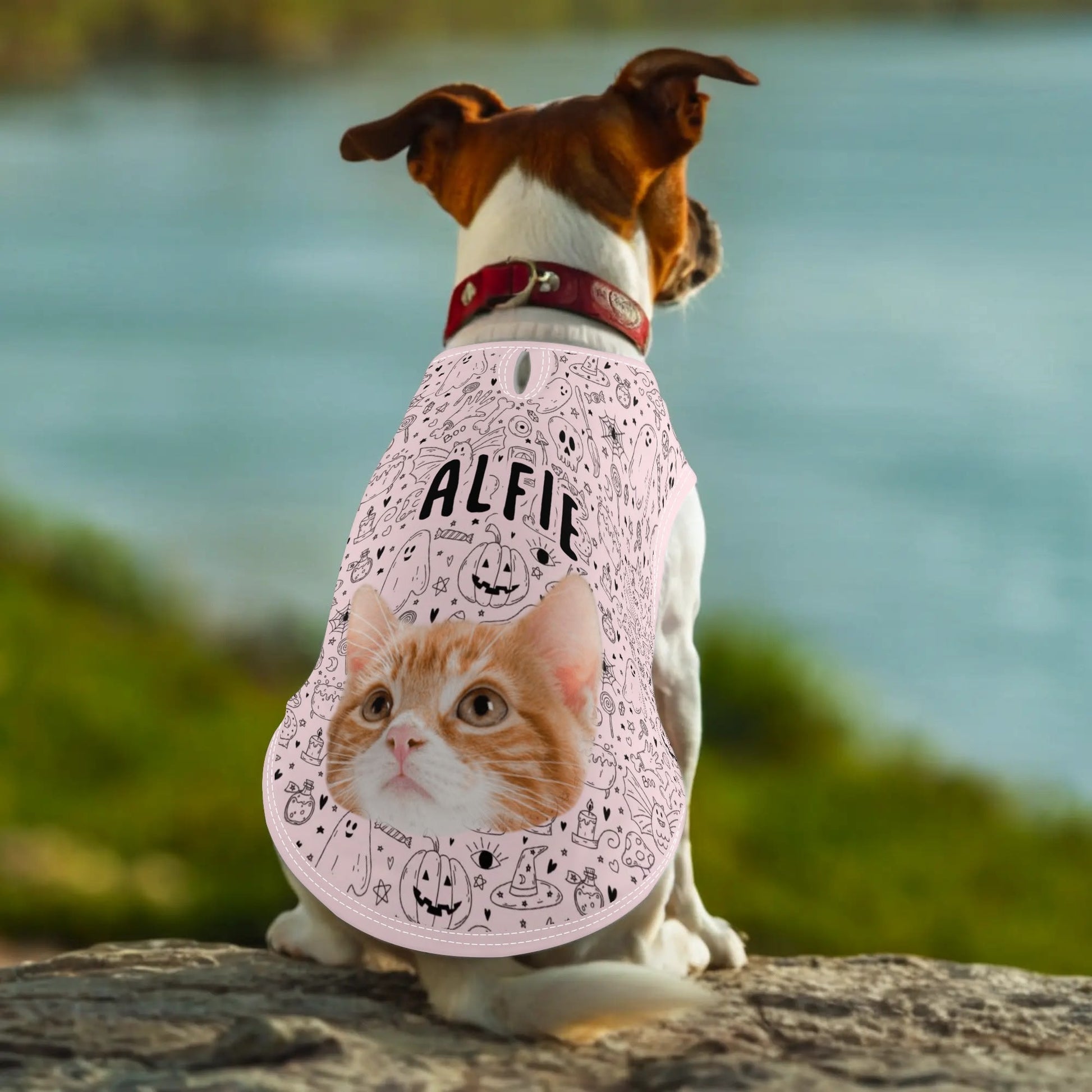 Adorable Halloween Pet Shirt ā Lightweight Outfit for Dogs & Cats with Spooky Prints - De Krys