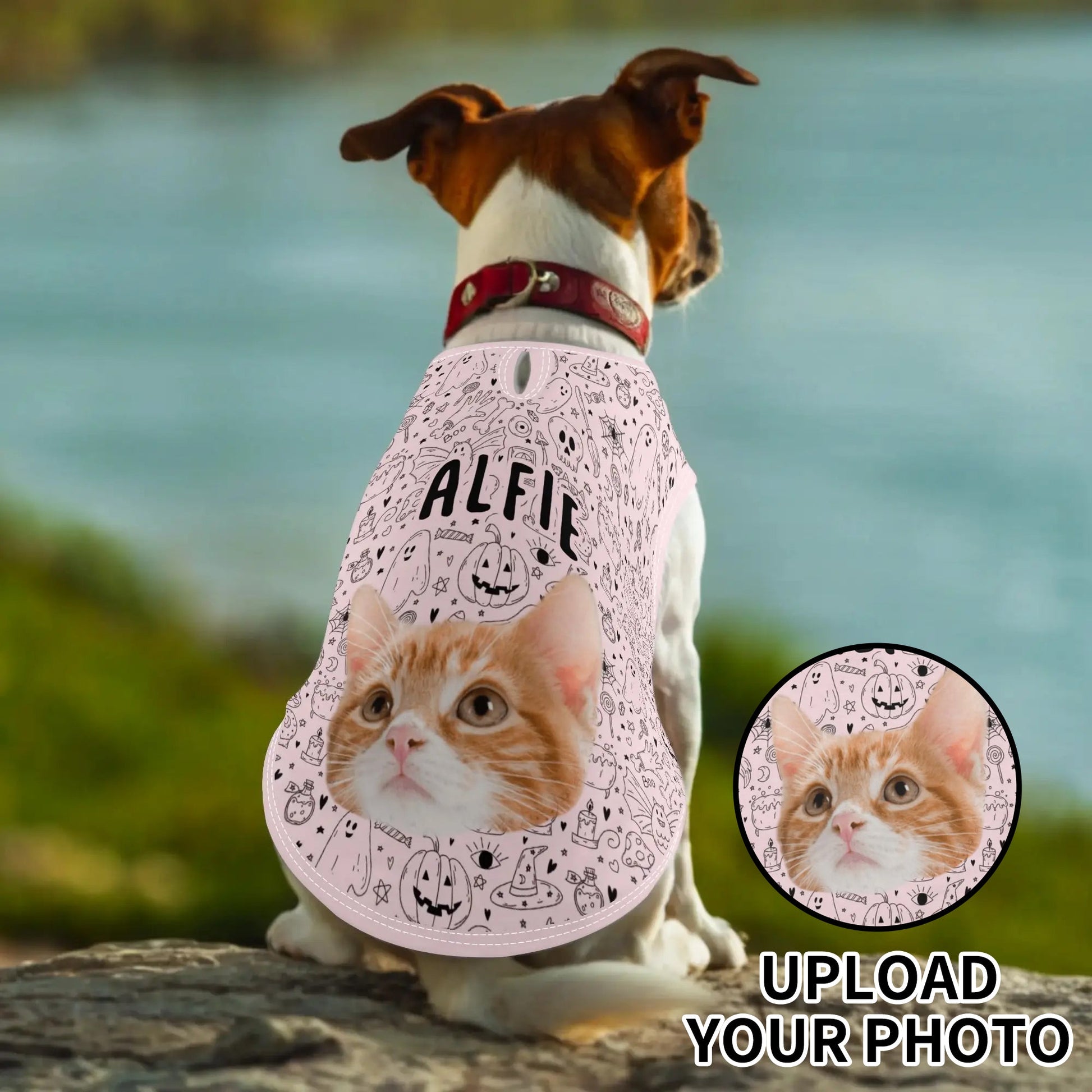 Dog wearing a custom Halloween pet shirt with doodle print (pumpkins, ghosts, skulls, witchesā hats), featuring personalized pet photo and name.