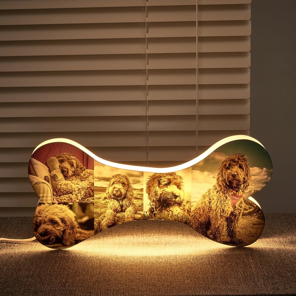 Cozy Custom Dog Bone Lamp Illuminating Pet Memories at Home