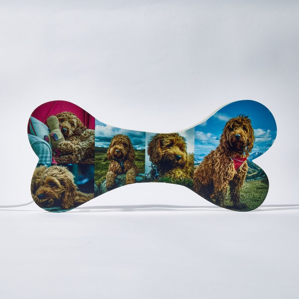Custom Dog Bone LED Photo Light – Personalized Pet Décor - De Krys