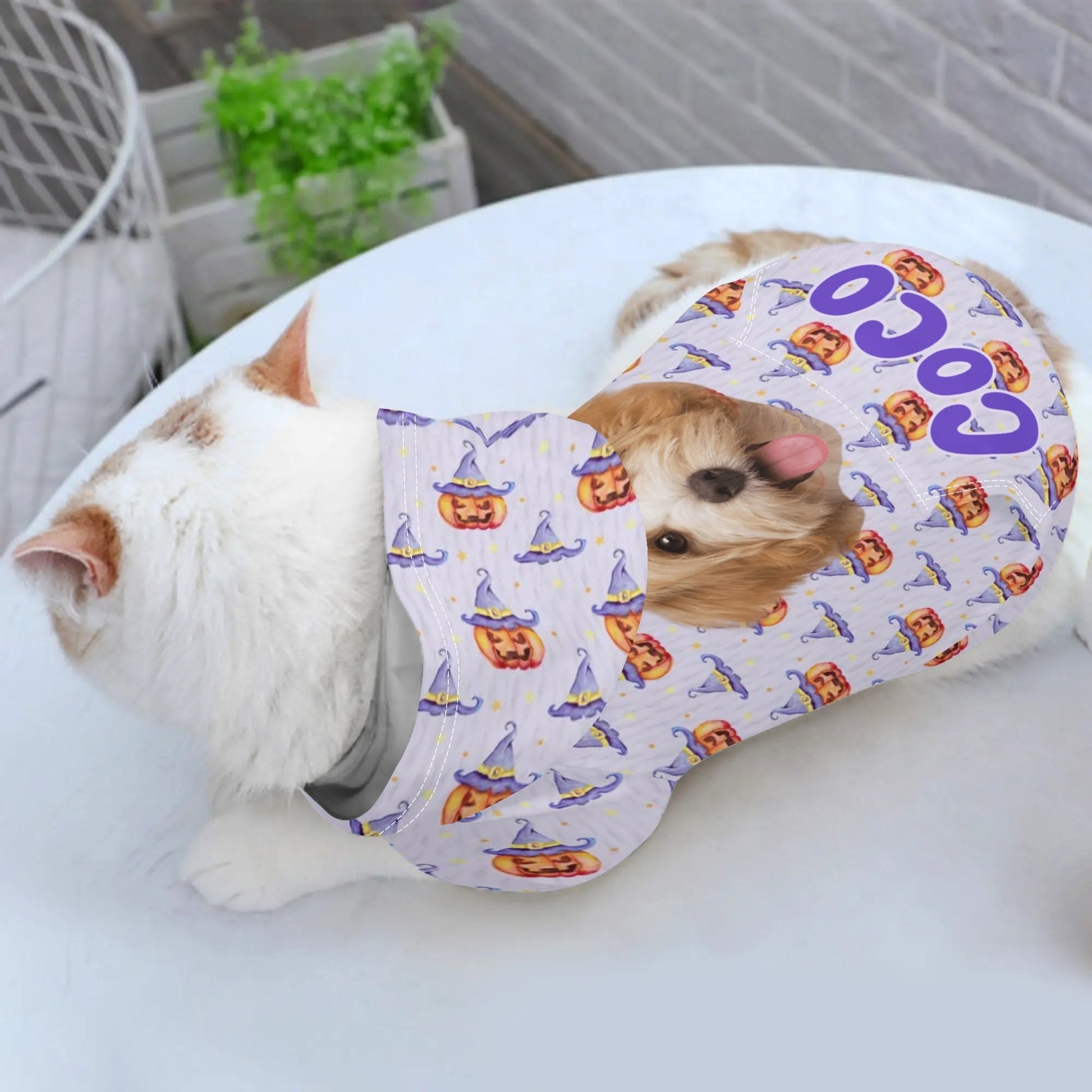 Custom Pet Halloween Hoodie – Personalized Dog or Cat Costume with Photo & Name - De Krys