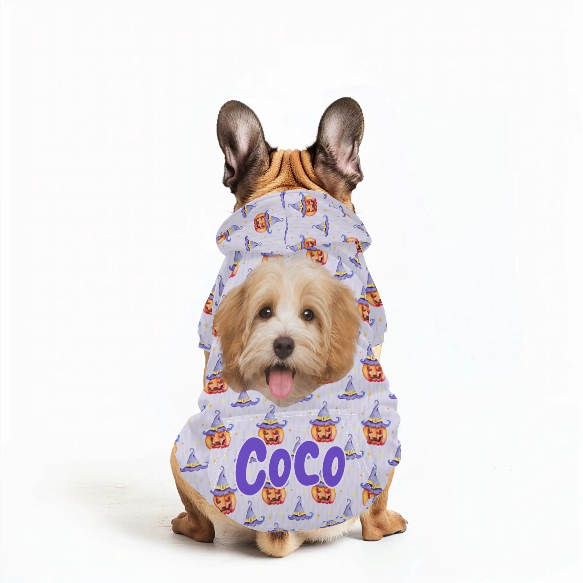 Custom Pet Halloween Hoodie – Personalized Dog or Cat Costume with Photo & Name - De Krys