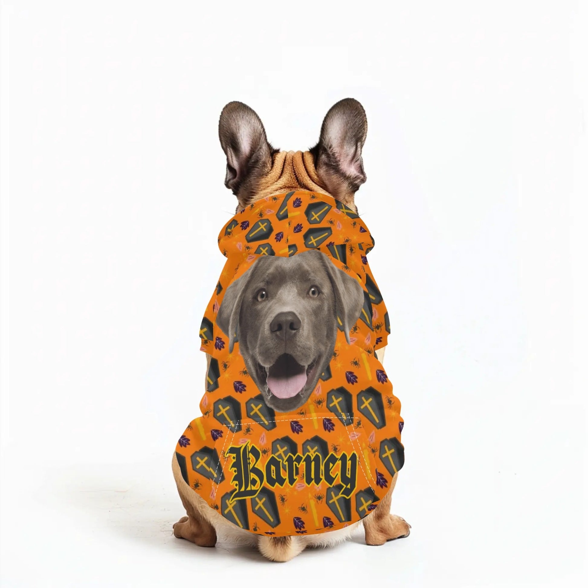 Custom Pet Halloween Hoodie – Personalized Dog or Cat Costume with Photo & Name - De Krys