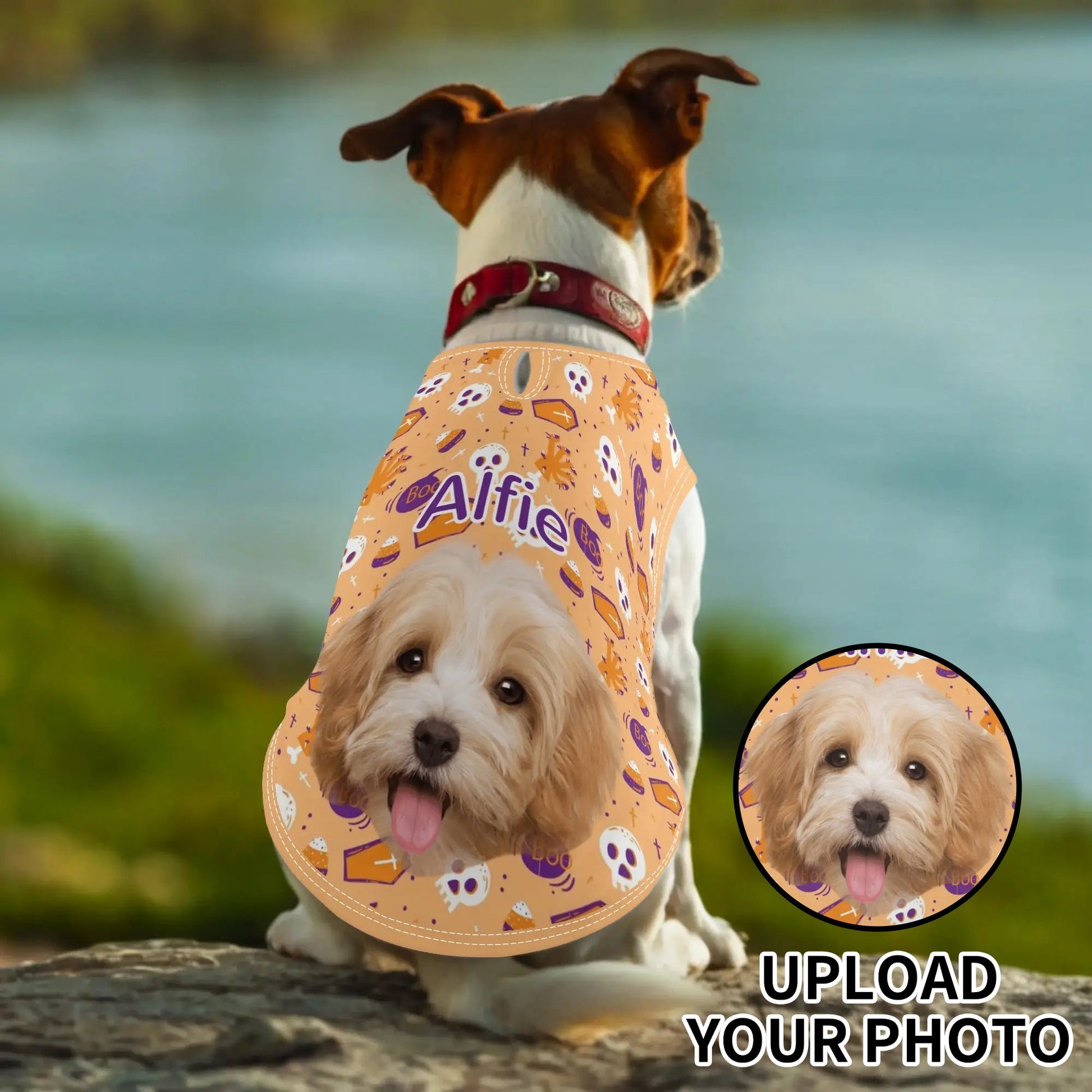 Dog wearing a custom ghost Halloween pet shirt personalized with photo and name, featuring ghost, coffin, and candy doodle prints on orange fabric.