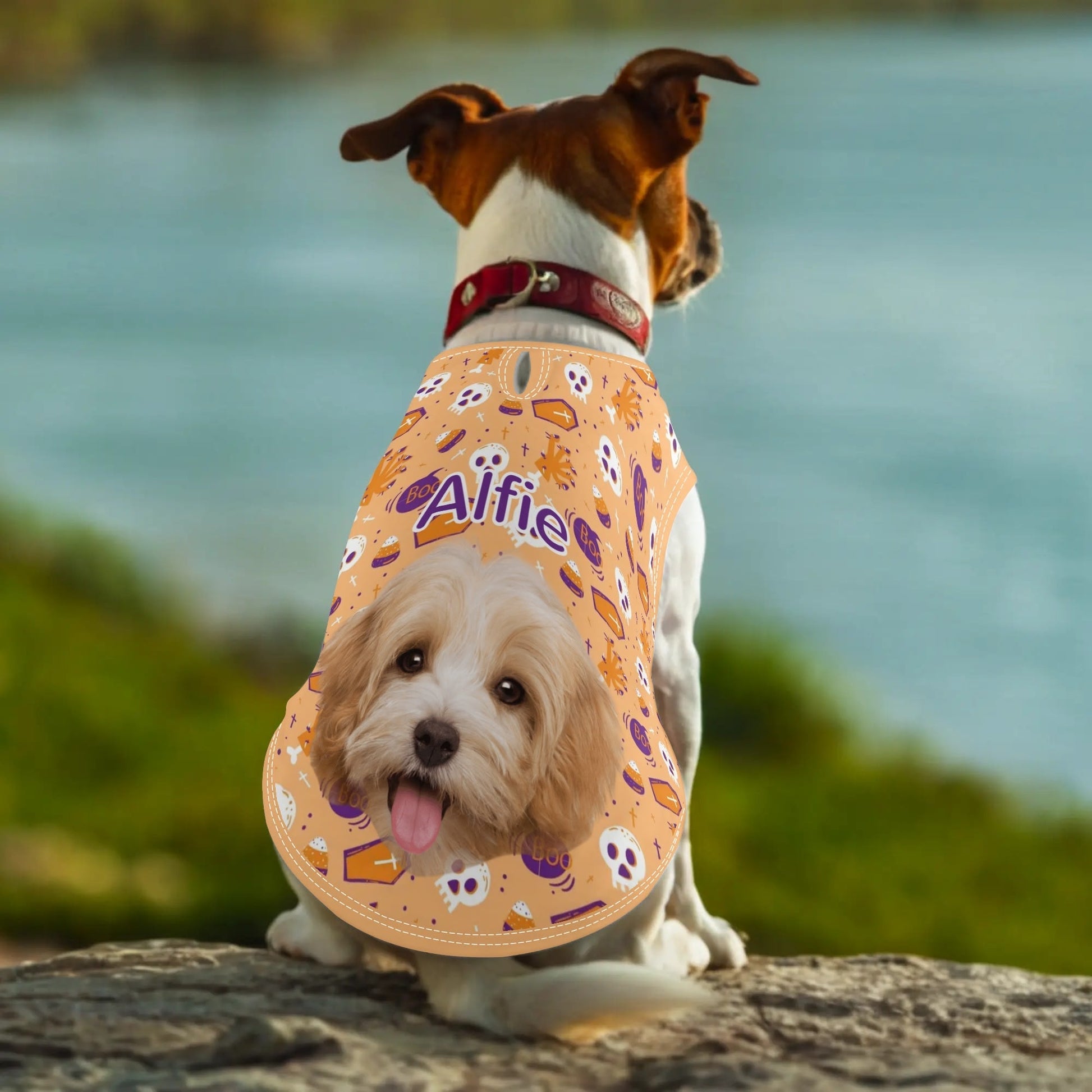 Ghost & Coffin Halloween Pet Shirt – Lightweight Tee for Dogs & Cats - De Krys