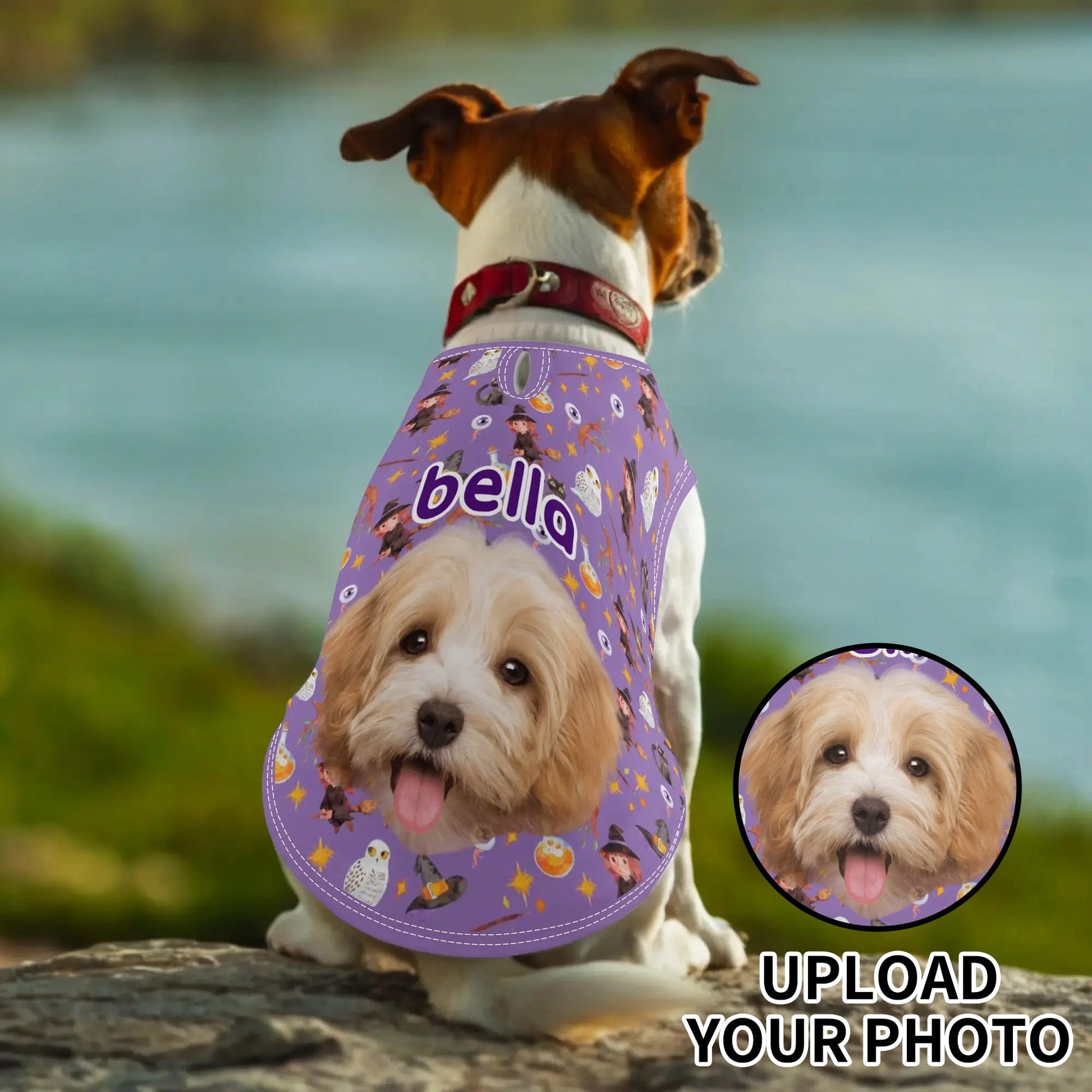 Personalized Halloween pet shirt featuring custom photo and name on a purple spooky background with pumpkins, witches, and ghosts. Dog wearing custom costume tee.