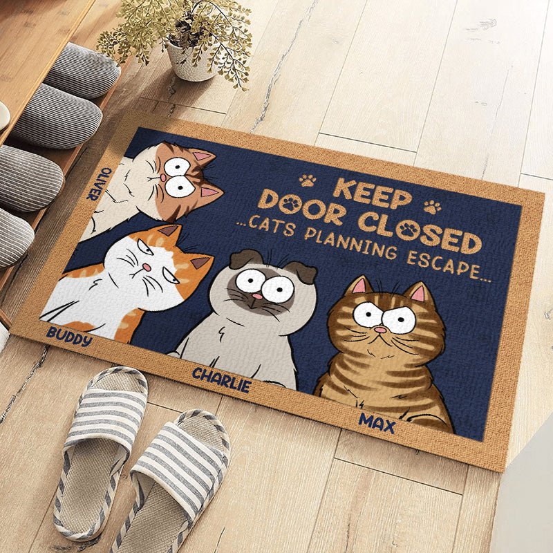 Funny cat lover gift doormat with personalized pet names for home entry