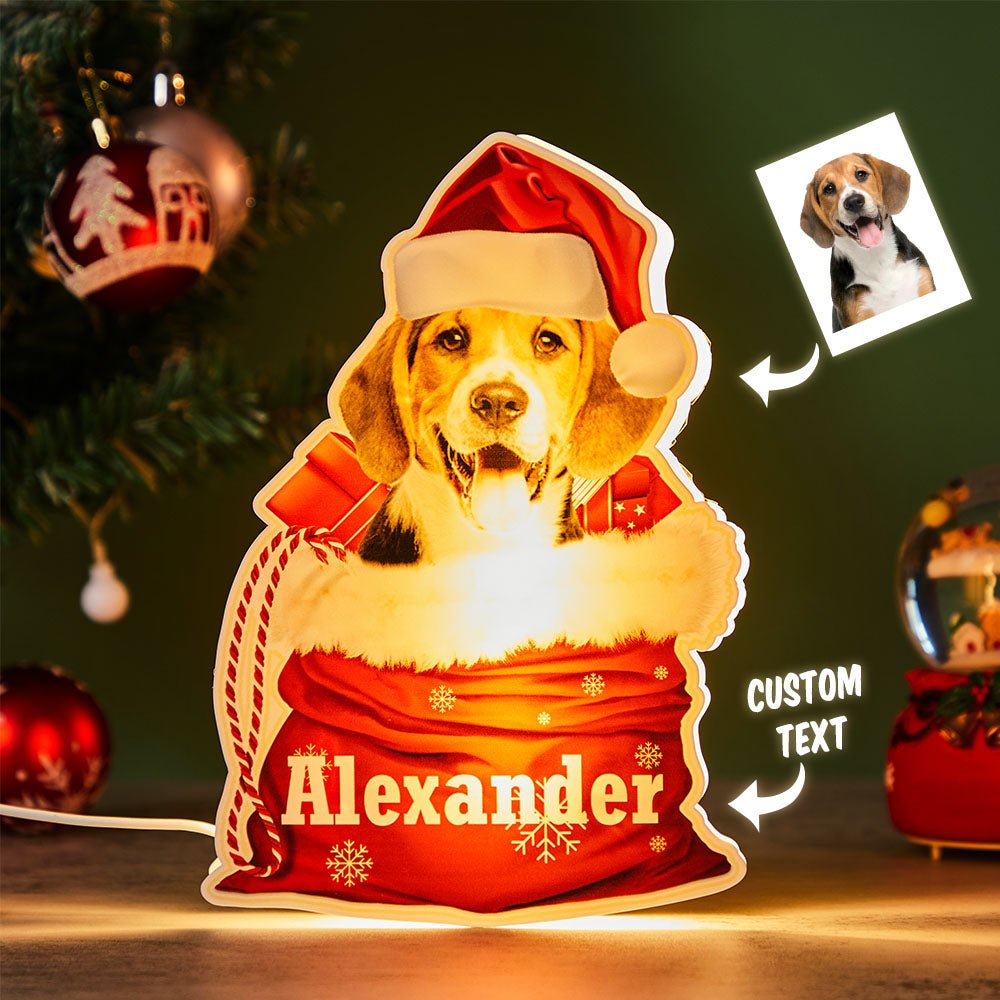 Personalized Christmas Dog Photo Lamp – Custom Pet Holiday Gift with Name