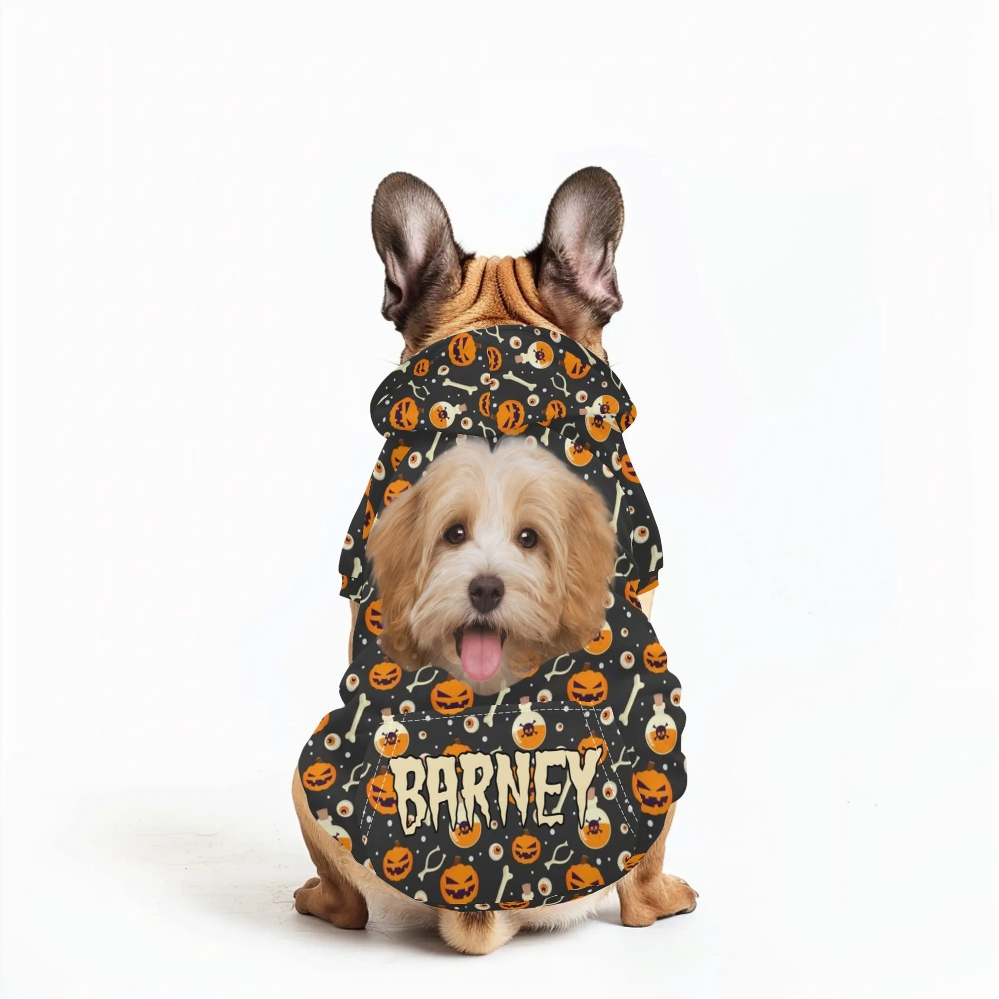 Spooky - Chic Pet Hoodie – Halloween Sweater with Treat Pocket for Cats & Dogs - De Krys