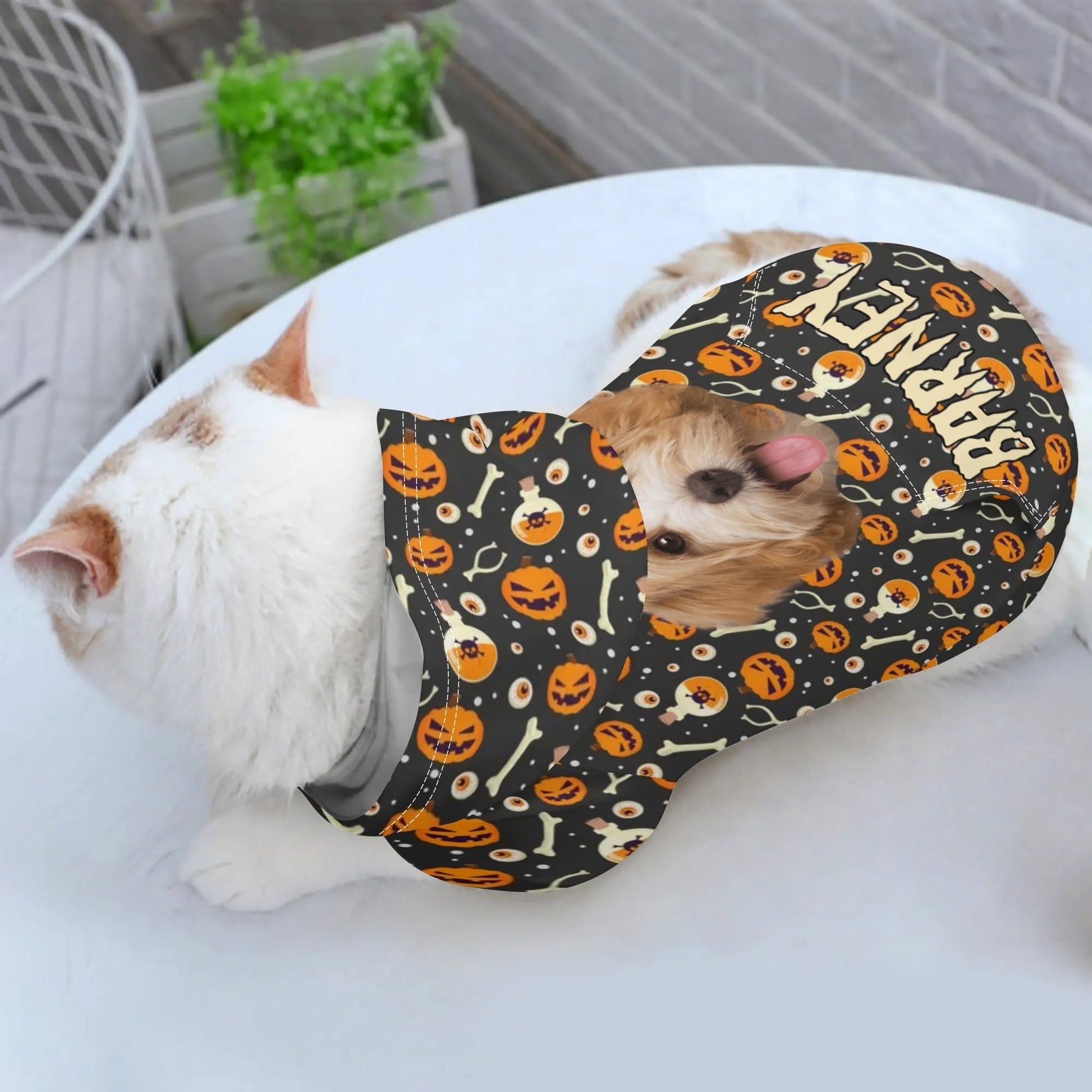 Spooky - Chic Pet Hoodie – Halloween Sweater with Treat Pocket for Cats & Dogs - De Krys