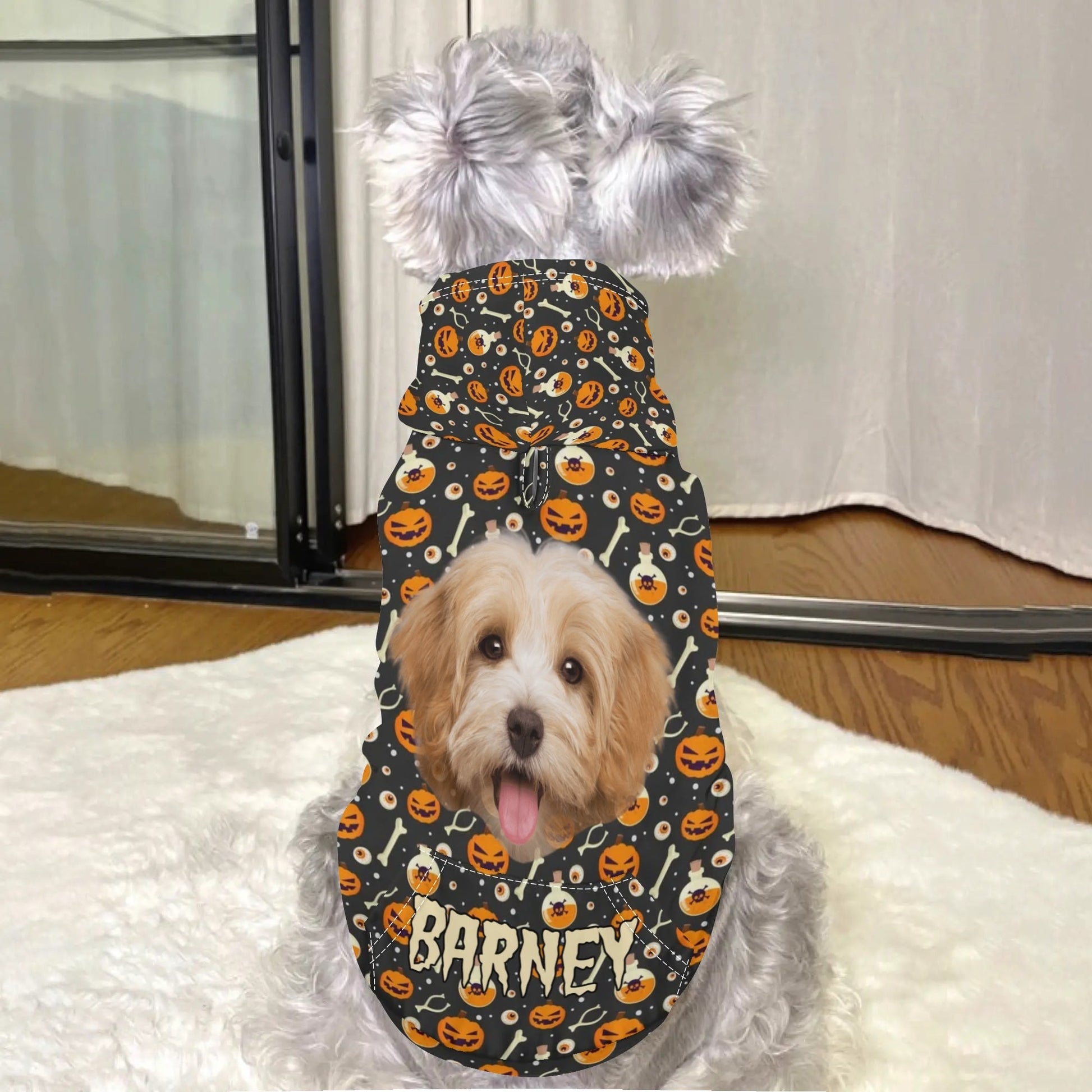 Spooky - Chic Pet Hoodie – Halloween Sweater with Treat Pocket for Cats & Dogs - De Krys