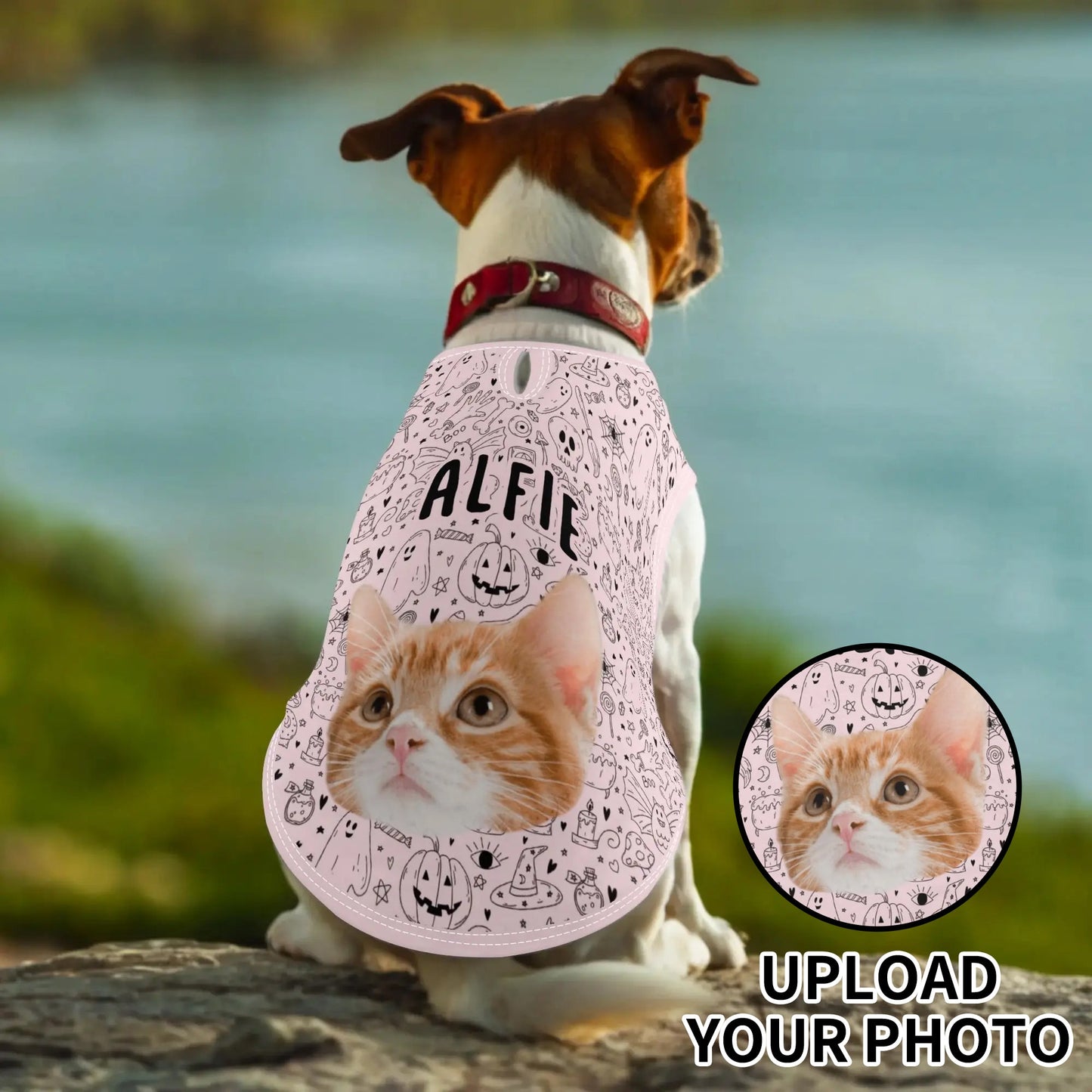 Dog wearing a custom Halloween pet shirt with doodle print (pumpkins, ghosts, skulls, witches’ hats), featuring personalized pet photo and name.