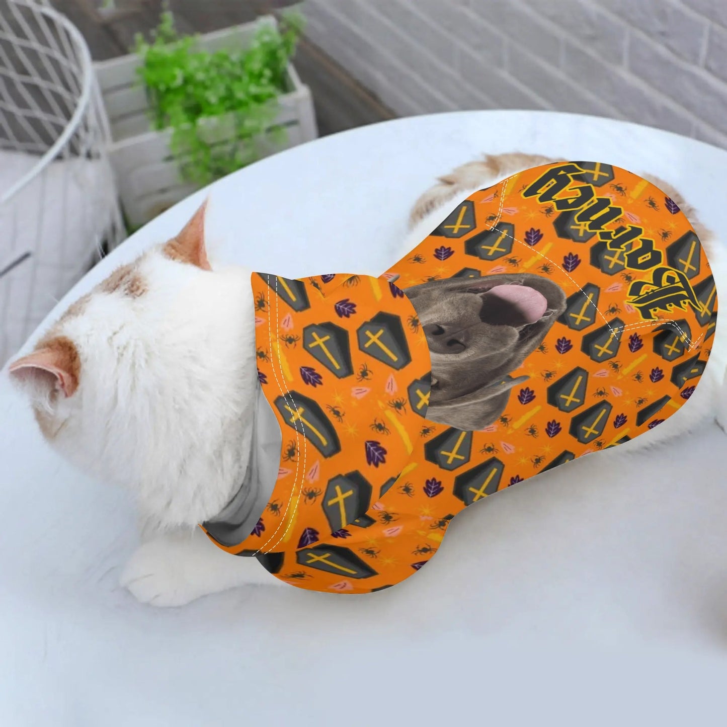 Custom Pet Halloween Hoodie – Personalized Dog or Cat Costume with Photo & Name - De Krys