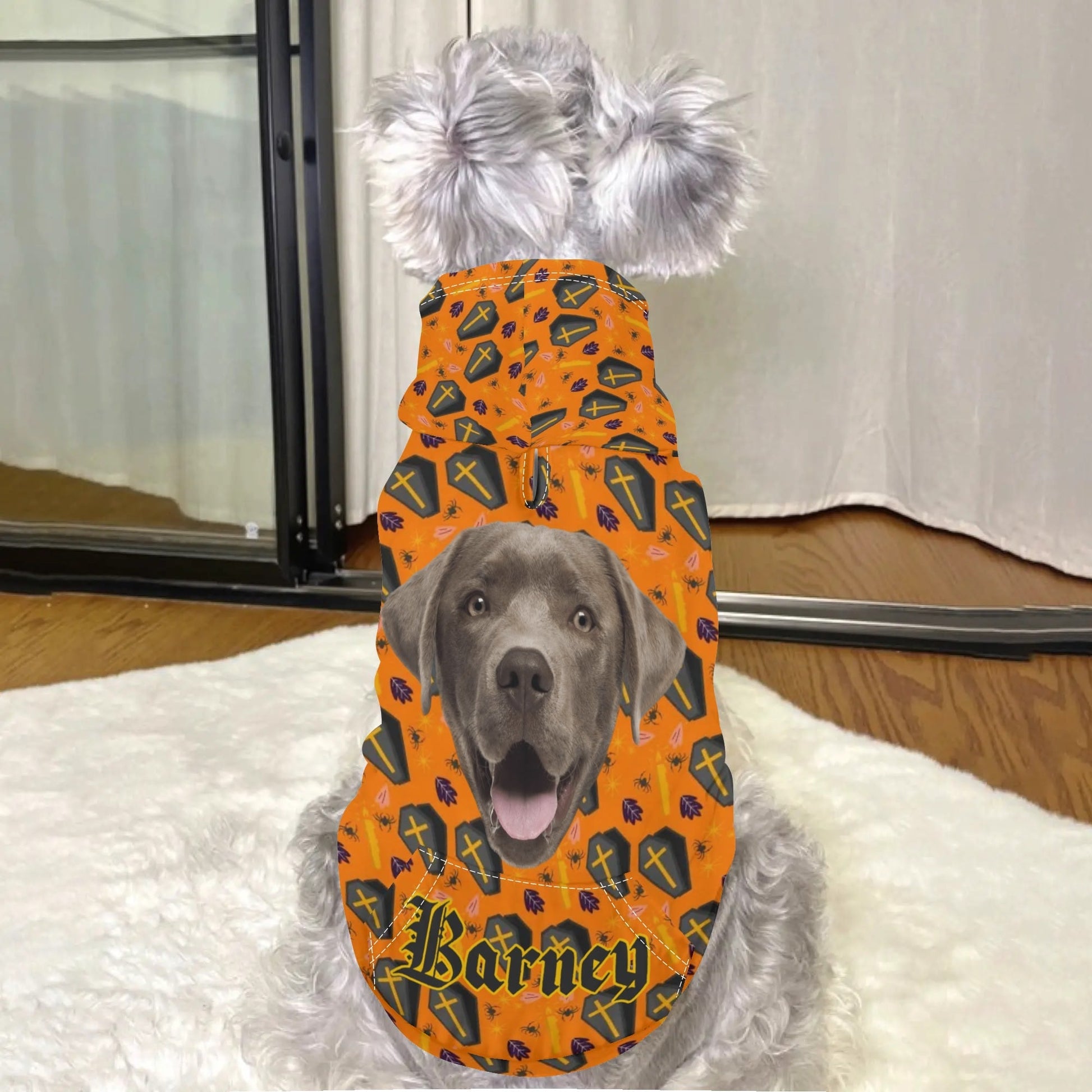 Custom Pet Halloween Hoodie – Personalized Dog or Cat Costume with Photo & Name - De Krys