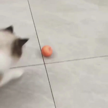 SmartPet USB Automatic Moving Bouncing Ball